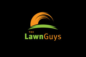 Image_lawnguys